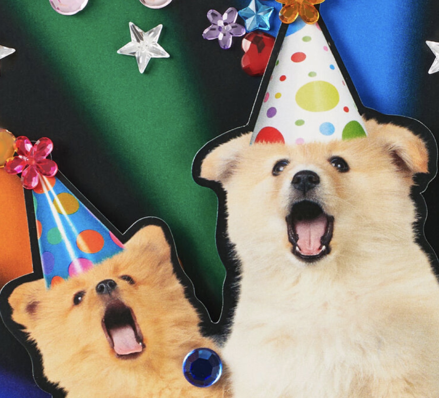 Two puppies in party hats.